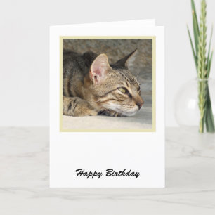 Tabby Cat Birthday Card Karte