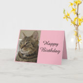 Tabby Cat Birthday Card Karte (Gelbe Blume)