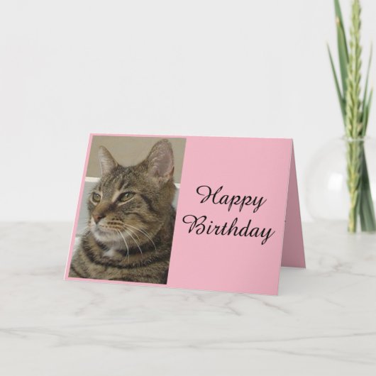 Tabby Cat Birthday Card Karte (Vorderseite)