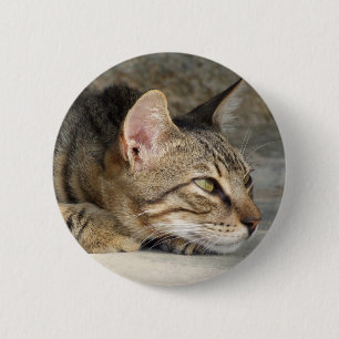 Tabby Cat Button