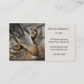 Tabby Cat - Cat Sitter Visitenkarte (Rückseite)