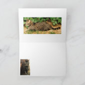 Tabby Cat Christmas Grußkarten Feiertagskarte (Innenseite)