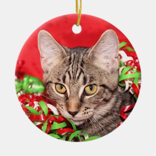 Tabby Cat Christmas Keramikornament (Vorne)