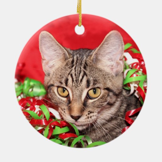 Tabby Cat Christmas Keramikornament (Hinten)