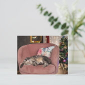 Tabby Cat Christmas Snooze Postkarte (Stehend Vorderseite)