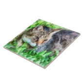 Tabby Cat Closeup Fliese (Seite)