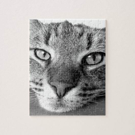 TABBY CAT CLOSEUP PUZZLE (Vertikal)
