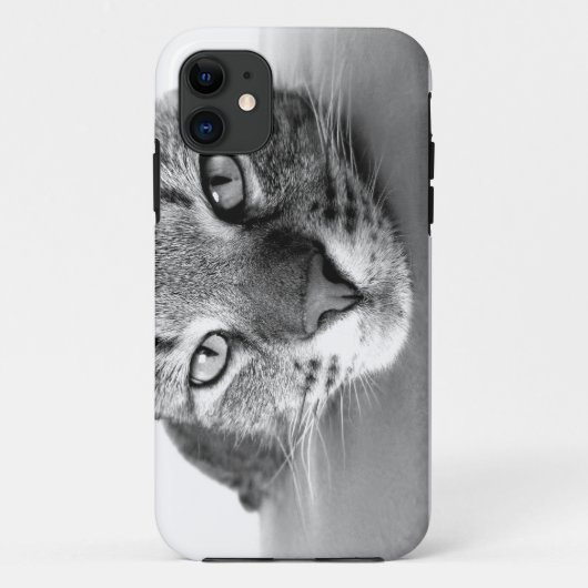 Tabby Cat Closing iPhone Case (Rückseite)