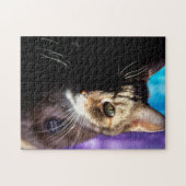 Tabby Cat Face - Fade to black Puzzle (Horizontal)