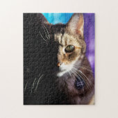 Tabby Cat Face - Fade to black Puzzle (Vertikal)