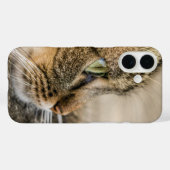 Tabby Cat Face Nah-up Case-Mate iPhone Hülle (Rückseite (Horizontal))