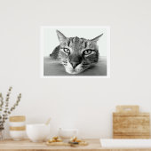 Tabby Cat Face Poster (Küche)
