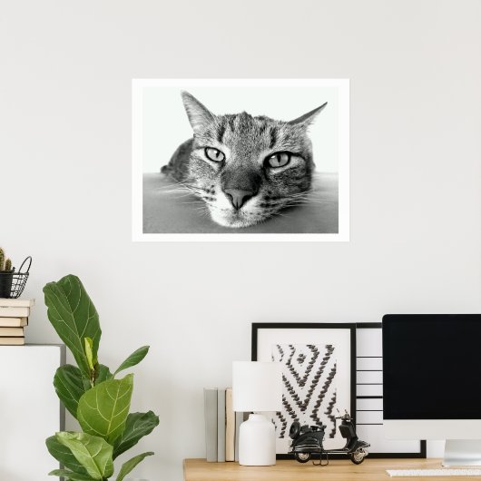Tabby Cat Face Poster (Heimbüro)