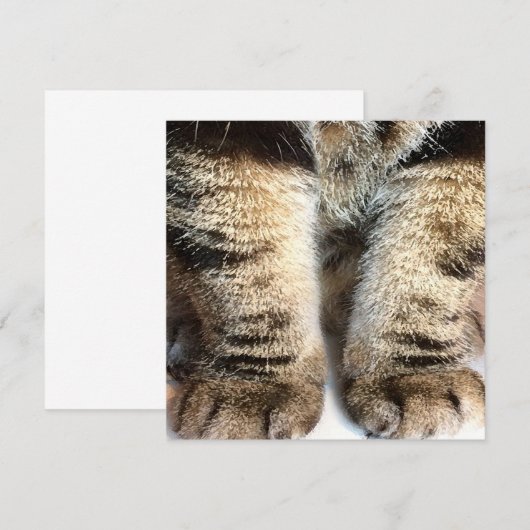 Tabby Cat Flat Card, Tabby, Tabby Legs, (Vorne/Hinten)