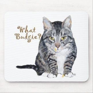 Tabby Cat Frage: Was Budgie? Mousepad