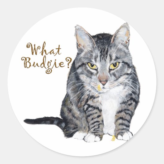 Tabby Cat Frage: Was Budgie? Runder Aufkleber (Vorderseite)