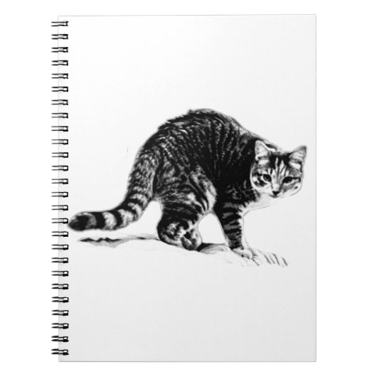 Tabby Cat Full-Body Monochrome Portrait-Notebook Notizblock (Vorderseite)