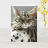 TABBY CAT GEBURTSTAGSKARTE KARTE (Gelbe Blume)