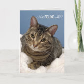 Tabby Cat Get Well Karte (Vorderseite)
