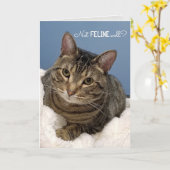 Tabby Cat Get Well Karte (Gelbe Blume)