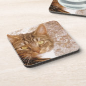 Tabby Cat Getränkeuntersetzer (Linke Seite)