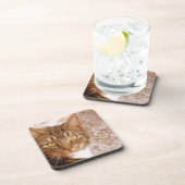 Tabby Cat Getränkeuntersetzer (Rechte Seite)
