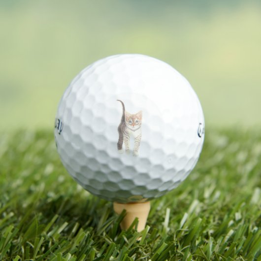 Tabby Cat Golf Balls Golfball (Insitu T-Shirt)