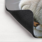 Tabby Cat Humor Mousepad (Ecke)