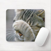 Tabby Cat Humor Mousepad (Mit Mouse)