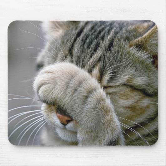 Tabby Cat Humor Mousepad (Vorne)