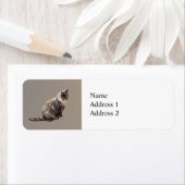 Tabby Cat in Brauntönen (Insitu)