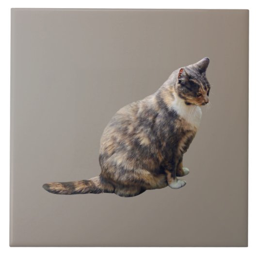 Tabby Cat in Brauntönen Fliese (Vorderseite)