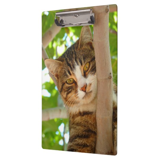 Tabby Cat in einem Baum Klemmbrett (Links)