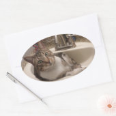 Tabby Cat in Sink Stickers (Umschlag)