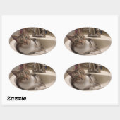 Tabby Cat in Sink Stickers (Blatt)