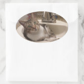 Tabby Cat in Sink Stickers (Tasche)