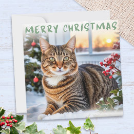 Tabby Cat In Snow Elegant Frohe Weihnachten