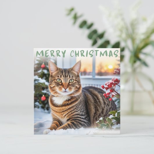 Tabby Cat In Snow Elegant Frohe Weihnachten (Stehend Vorderseite)