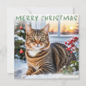 Tabby Cat In Snow Elegant Frohe Weihnachten (Vorderseite)