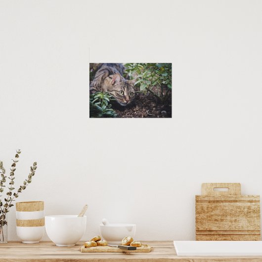 Tabby Cat in Woods Stalking Poster (Küche)