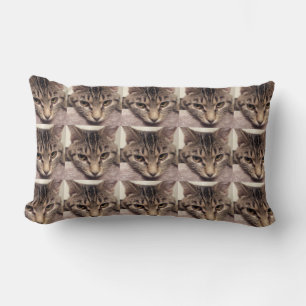 Tabby Cat-Instagram von Shirley Taylor Lendenkissen