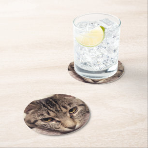 Tabby Cat-Instagram von Shirley Taylor Runder Pappuntersetzer