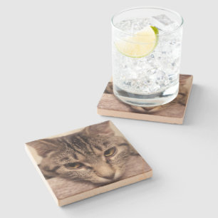 Tabby Cat-Instagram von Shirley Taylor Steinuntersetzer