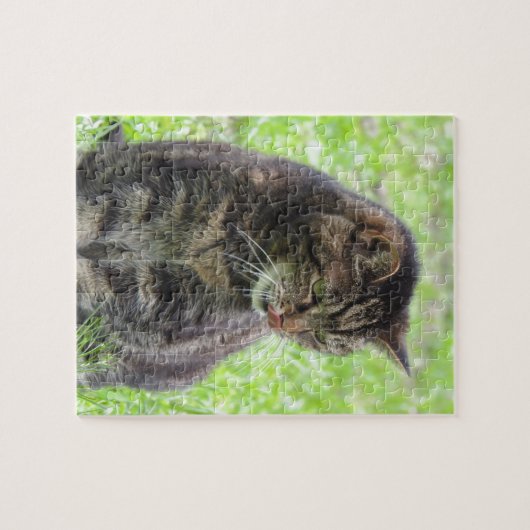 Tabby Cat Jigsaw Puzzle (Horizontal)