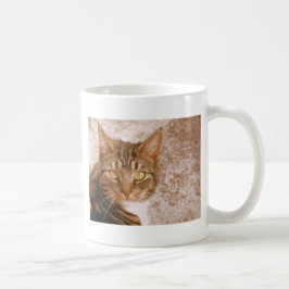 Tabby Cat Kaffeetasse
