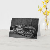 Tabby Cat, Karte (Gelbe Blume)