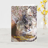 TABBY CAT KARTE (Gelbe Blume)