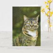 Tabby Cat, Karte (Gelbe Blume)