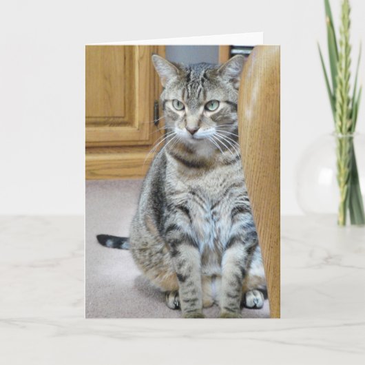 Tabby Cat Karte (Vorderseite)