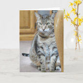 Tabby Cat Karte (Gelbe Blume)